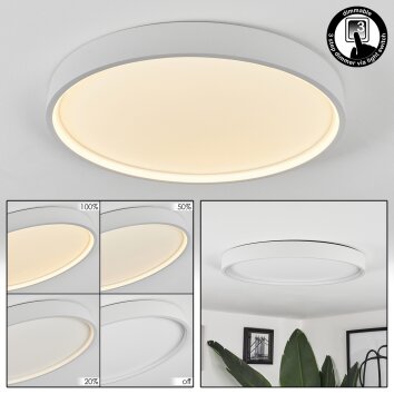 Formigosa Plafoniera LED Bianco, 1-Luce