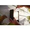 Philips Hue White Fuzo Applique da esterno LED Nero, 1-Luce