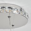 Avelar Lampadario a sospensione LED Cromo, Trasparente, chiaro, 1-Luce