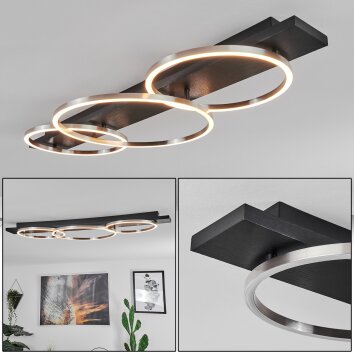 Pompu Plafoniera LED Nero, 3-Luci