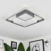 Casqueira Plafoniera LED Grigio, Bianco, 1-Luce