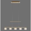 Paul Neuhaus HYDRA Lampada a Sospensione LED Ottone, 5-Luci