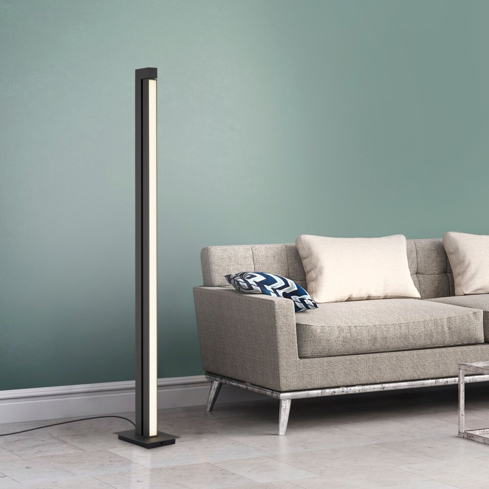 Paul Neuhaus PURE-LINES Lampada da terra LED Antracite, 1-Luce, Telecomando main product photo