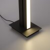 Paul Neuhaus PURE-LINES Lampada da terra LED Antracite, 1-Luce, Telecomando