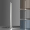 Paul Neuhaus PURE-LINES Lampada da terra LED Alluminio, 1-Luce, Telecomando