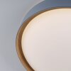 Paul Neuhaus Q-EMILIA Plafoniera LED Grigio, Aspetto del legno, 1-Luce, Telecomando
