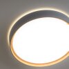 Paul Neuhaus Q-EMILIA Plafoniera LED Grigio, Aspetto del legno, 1-Luce, Telecomando