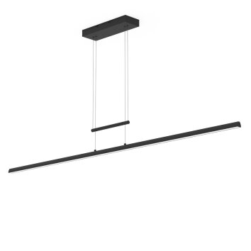 Steinhauer Profilo Lampada a Sospensione LED Nero, 1-Luce