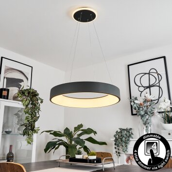 Areja Lampada a Sospensione LED Antracite, Bianco, 1-Luce