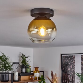 Koyoto  Lampadario a sospensione Vetro 15 cm Oro, Chiaro, 1-Luce