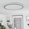 Finsrud Plafoniera LED Argento, 1-Luce