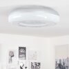 iDual Daphnis Plafoniera LED Argento, Bianco, 1-Luce, Telecomando, Cambia colore