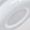 iDual Daphnis Plafoniera LED Argento, Bianco, 1-Luce, Telecomando, Cambia colore