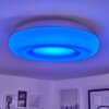 iDual Daphnis Plafoniera LED Argento, Bianco, 1-Luce, Telecomando, Cambia colore