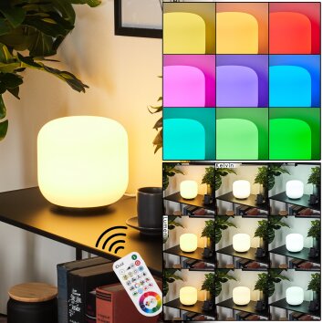 iDual Thyme Lampada da tavolo LED Nichel opaco, 1-Luce, Telecomando, Cambia colore