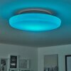 iDual Chloe Plafoniera LED Argento, Bianco, 1-Luce, Telecomando, Cambia colore