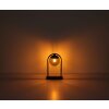 Globo MICHAEL Lampioncino Segnapasso Nero, 1-Luce