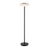 Paul Neuhaus Q-ETIENNE Lampada da terra LED Nero, 1-Luce, Telecomando