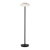 Paul Neuhaus Q-ETIENNE Lampada da terra LED Nero, 1-Luce, Telecomando