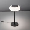 Paul Neuhaus Q-ETIENNE Lampada da tavolo LED Nero, 1-Luce, Telecomando