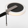 Steinhauer Turound Piantana LED Nero, 2-Luci