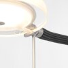 Steinhauer Turound Lampada da terra LED Acciaio satinato, 1-Luce