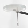 Steinhauer Turound Lampada da terra LED Acciaio satinato, 1-Luce