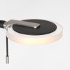 Steinhauer Turound Lampada da terra LED Nero, 1-Luce