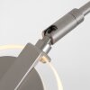 Steinhauer Turound Lampada da terra LED Acciaio satinato, 1-Luce