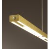 Fabas Luce Ling Lampada a Sospensione LED Ottone, 1-Luce