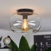 Molloy Plafoniera Chiaro, 1-Luce