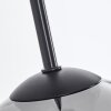Koyoto  Lampadario a sospensione Vetro 15 cm Cromo, Chiaro, Grigio fumo, 3-Luci