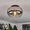 Molloy Plafoniera Chiaro, Grigio fumo, 1-Luce