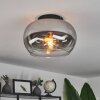 Molloy Plafoniera Chiaro, Grigio fumo, 1-Luce