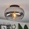 Molloy Plafoniera Chiaro, Grigio fumo, 1-Luce