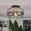 Molloy Plafoniera Chiaro, Grigio fumo, 1-Luce