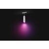 Philips Hue Perifo Lampada a Sospensione con peso LED Bianco, 1-Luce, Cambia colore