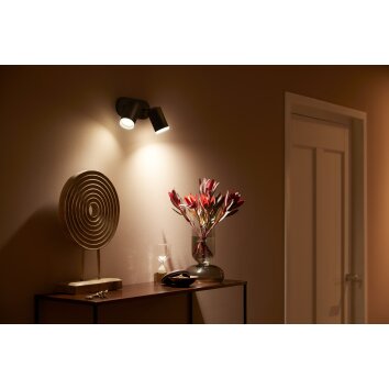 Philips Hue Fugato Plafoniera LED Nero, 2-Luci, Cambia colore