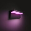 Philips Hue Nyro Applique da esterno LED Nero, 1-Luce, Cambia colore