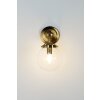 Holländer MOLTIPLICATORE Applique Oro, Ottone, 1-Luce