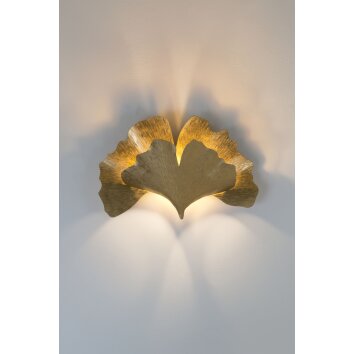 Holländer GINGKO Applique Oro, 2-Luci