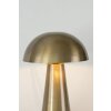 Holländer FUNGO Lampada da tavolo Oro, 1-Luce