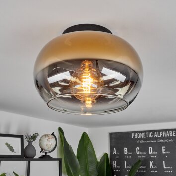 Molloy Plafoniera Oro, Chiaro, Grigio fumo, 1-Luce