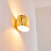 Rapar Applique Cromo, Oro, 1-Luce