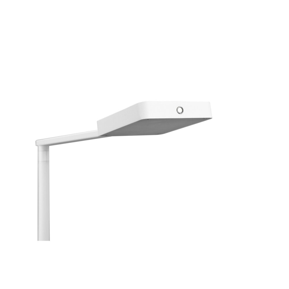 Trio Pavia Lampada da terra LED Bianco, 1-Luce