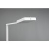 Trio Pavia Lampada da terra LED Bianco, 1-Luce