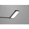 Trio Pavia Lampada da terra LED Nero, 1-Luce