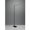 Trio Pavia Lampada da terra LED Nero, 1-Luce