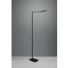 Trio Pavia Lampada da terra LED Nero, 1-Luce