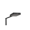 Trio Pavia Lampada da terra LED Nero, 1-Luce